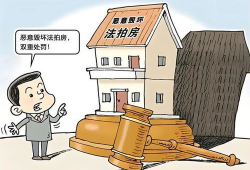 恶意破坏,破坏行为背后的动机与影响