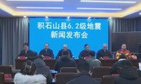 日本成本人片视频免费,免费观看背后的真相与争议
