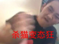 杀猫视频,杀猫视频引发的伦理反思