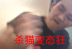 杀猫视频,杀猫视频引发的伦理反思
