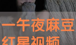 免费观看午夜视频,免费解锁神秘视频之旅